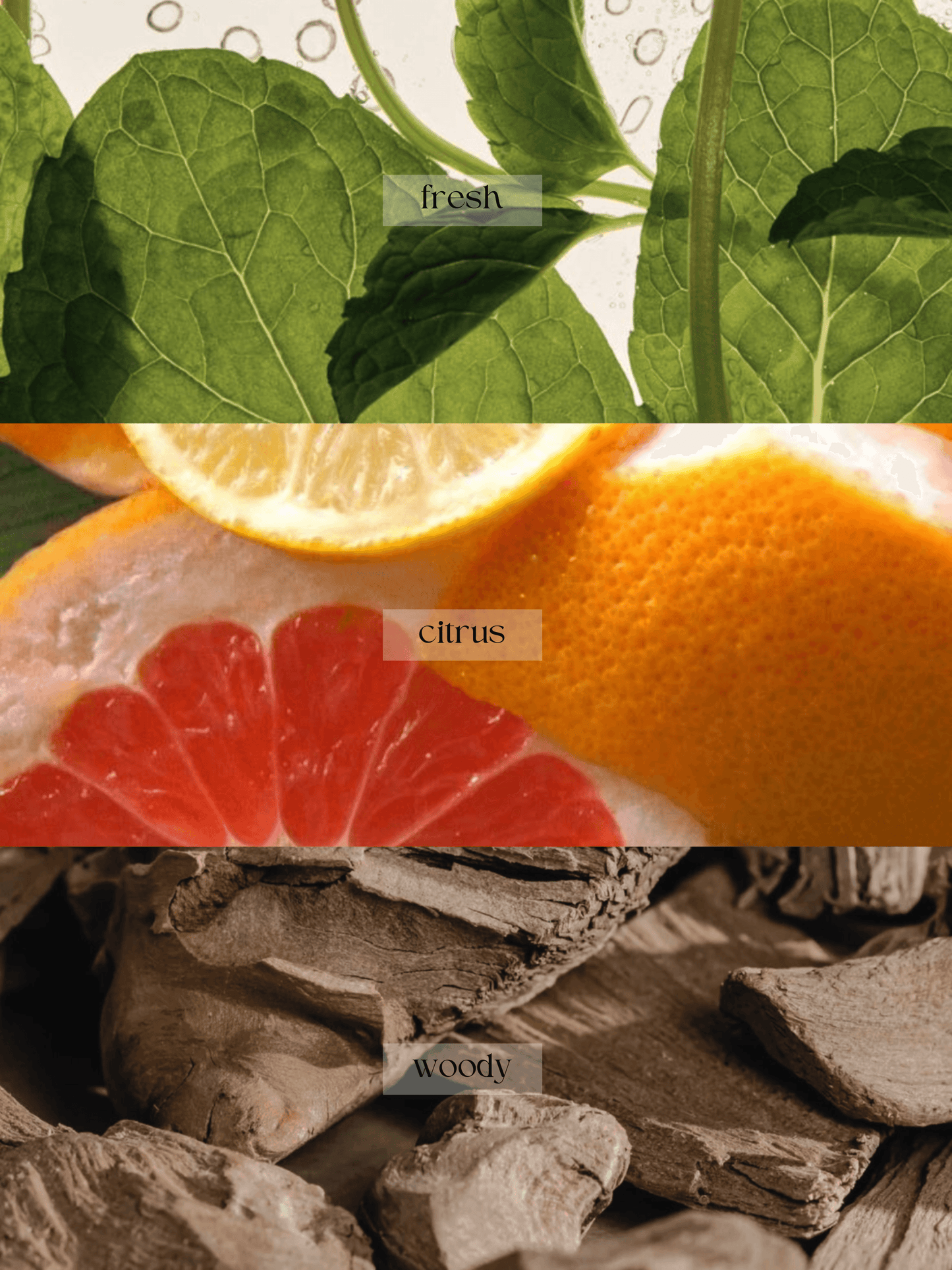 Citrus Bliss Re:lief Balm