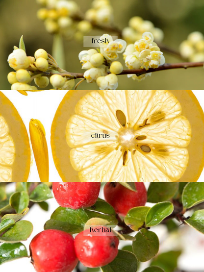 Lemon Aire Re:lief Balm